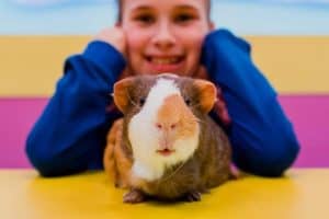 A young girl smiling and showing us her guinea pig. This is a scene in an episode of "Bestest Day Ever"